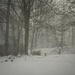 Morning Snow Squall by pej76