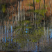 Lake Allatoona Reflections by k9photo