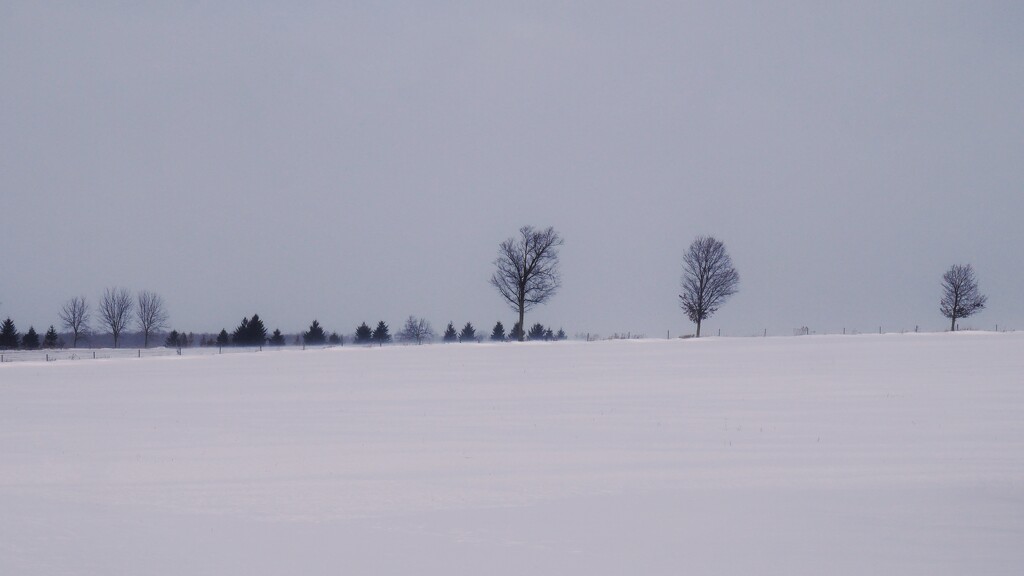 In the bleak mid-winter by ljmanning