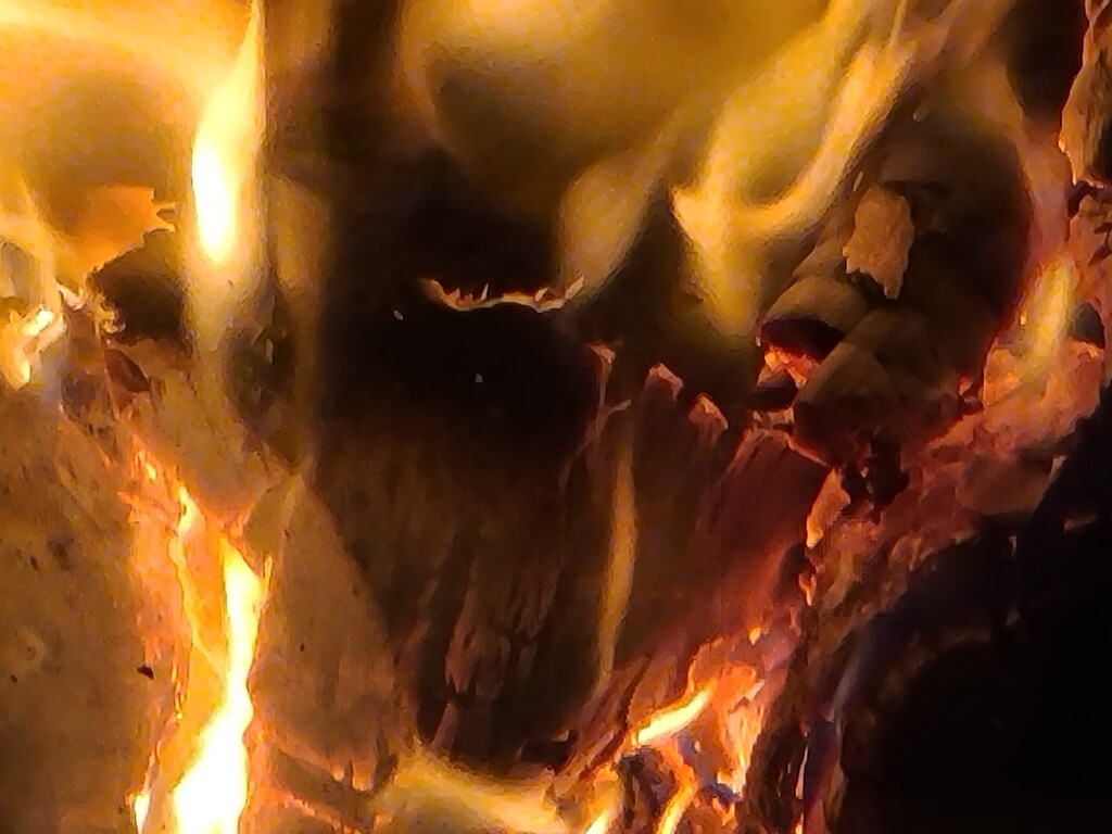 Close up of the fire by danjh