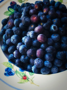 12th Jan 2024 - Pick Me a Blueberry