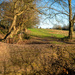 Peachfield Common by clifford