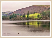 15th Jan 2024 - Lake Vyrnwy,North Wales 2