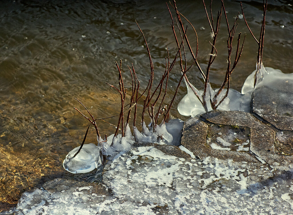 Water, Ice, Snow by gardencat