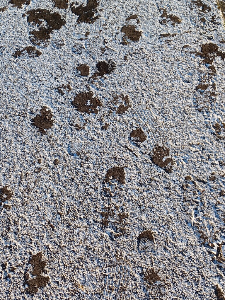 Frosty Footprints by diego10