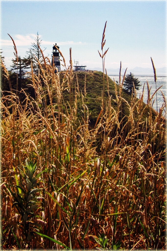 Cape Disappointment Lighthouse by 365projectorgchristine