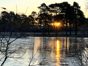 15th Jan 2024 - Icy Sunrise