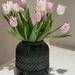 Pretty tulips by jeremyccc