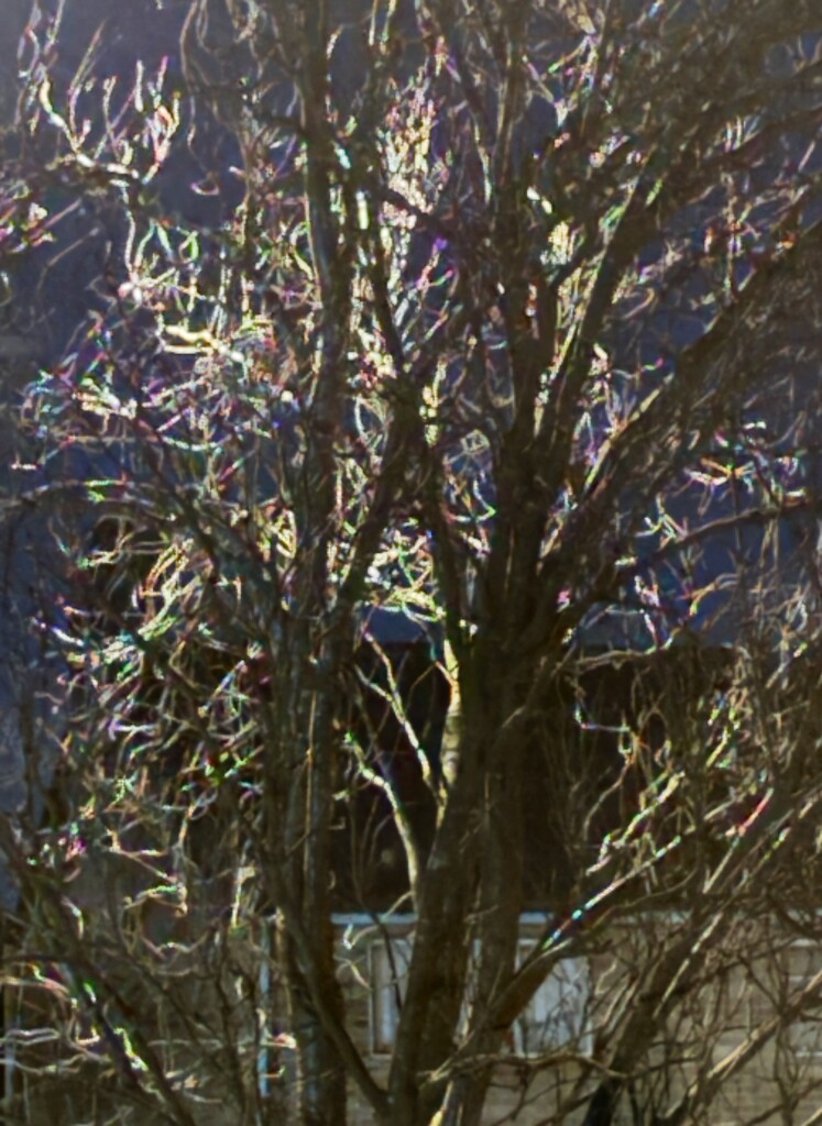 Nightfall by lizgooster