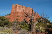 13th Jan 2024 - Courthouse Butte