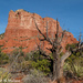 Courthouse Butte by falcon11