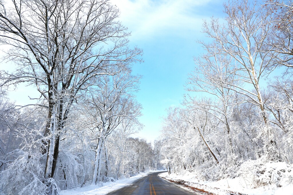 Winter Drive by lynnz