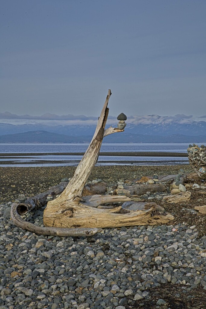 Beach Sculpture by horter