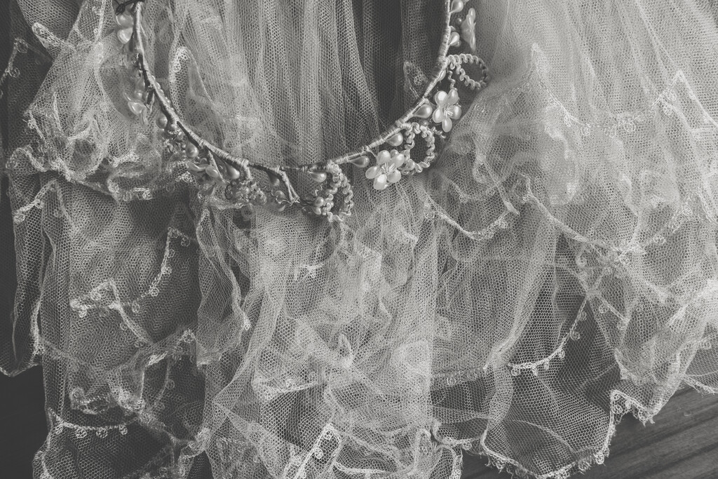Wedding veil by brigette