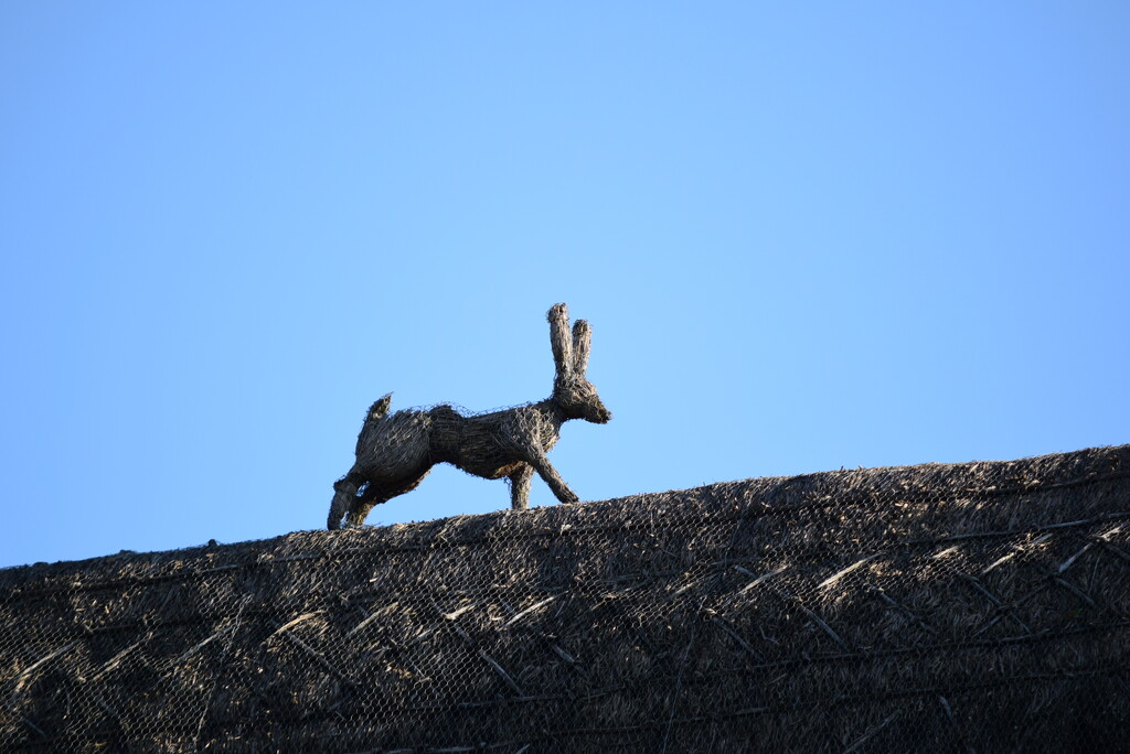 Roof Hare by dragey74