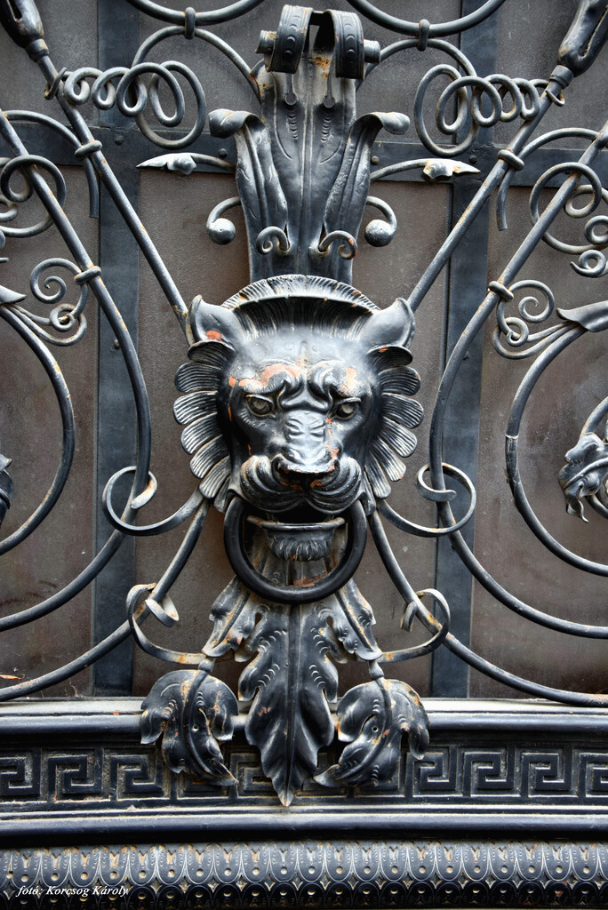 Detail of a gate by kork