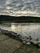 16th Jan 2024 - Gloucester Services