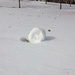 Snow Roller by pej76