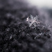 Snowflake by fayefaye