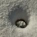 Hole in the Snow by jnewbio