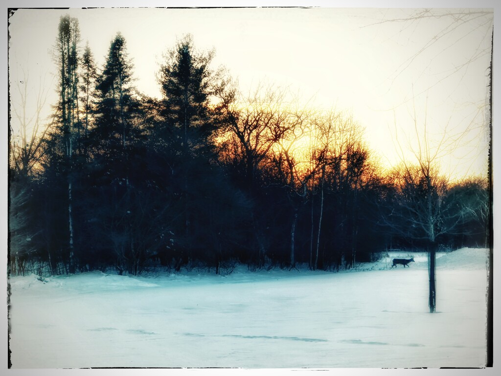 Winter Sunset by eahopp