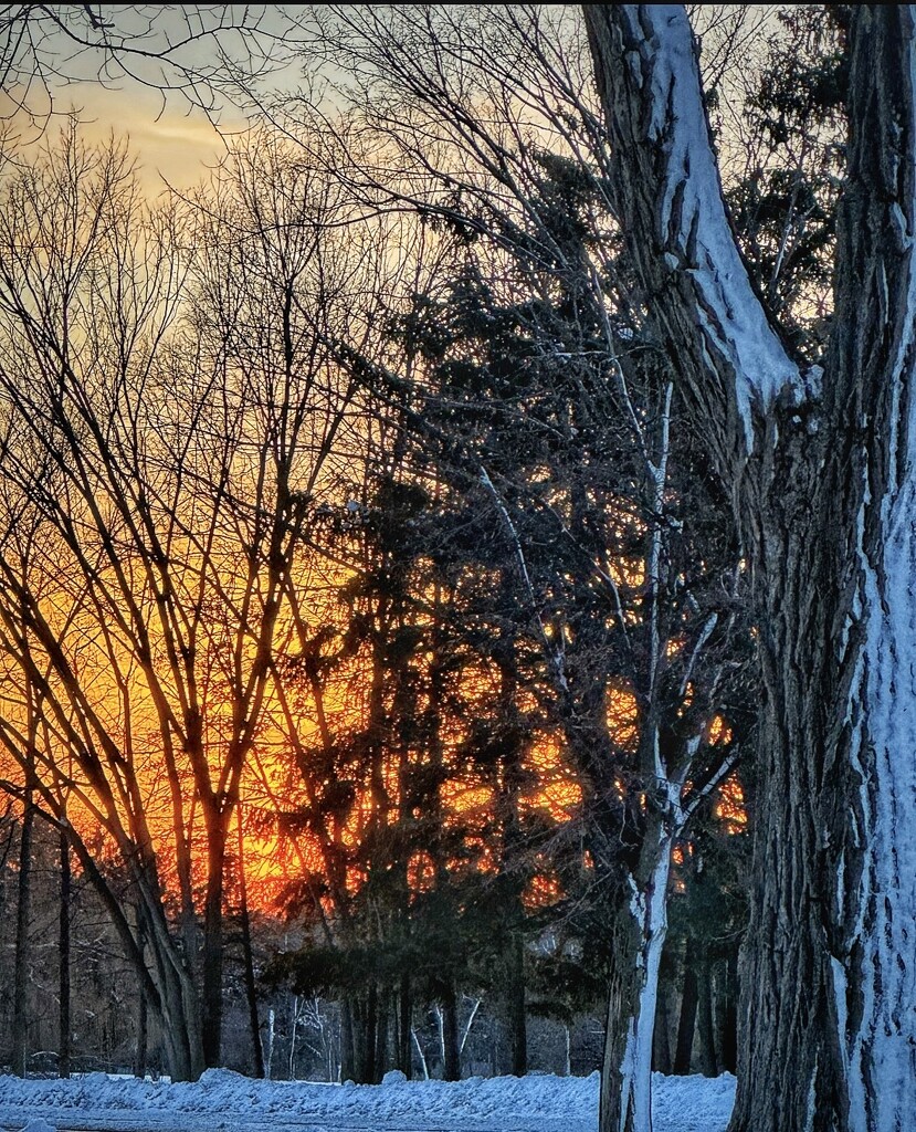 Winter Sunset Scene by eahopp