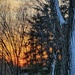 Winter Sunset Scene by eahopp