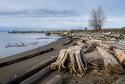 16th Jan 2024 - Garry Point. 