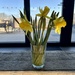 First daffodils of 2024 by anne2013