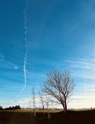 16th Jan 2024 - Beautiful winter sky...