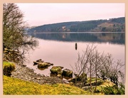 17th Jan 2024 - Lake Vyrnwy,Another View