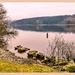 Lake Vyrnwy,Another View by carolmw