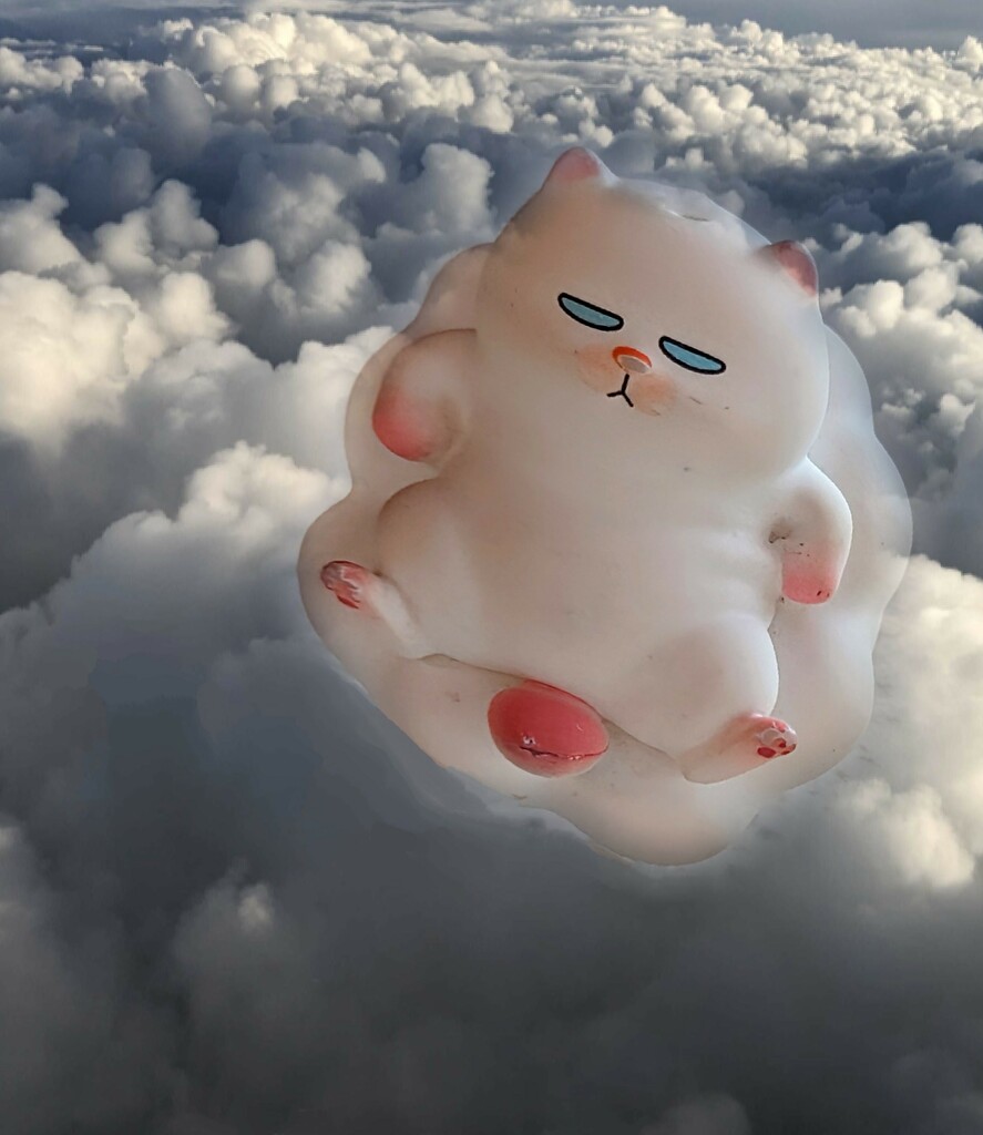 Cat In The Clouds  by photohoot