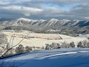 17th Jan 2024 - Snow on the Mountain 