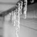 Anything B&W 23/60- ICE by i_am_a_photographer