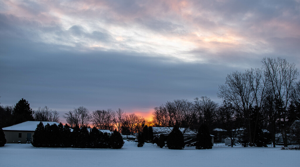 Snow Day Dawn by darchibald