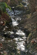 13th Jan 2024 - ~Small Creek~