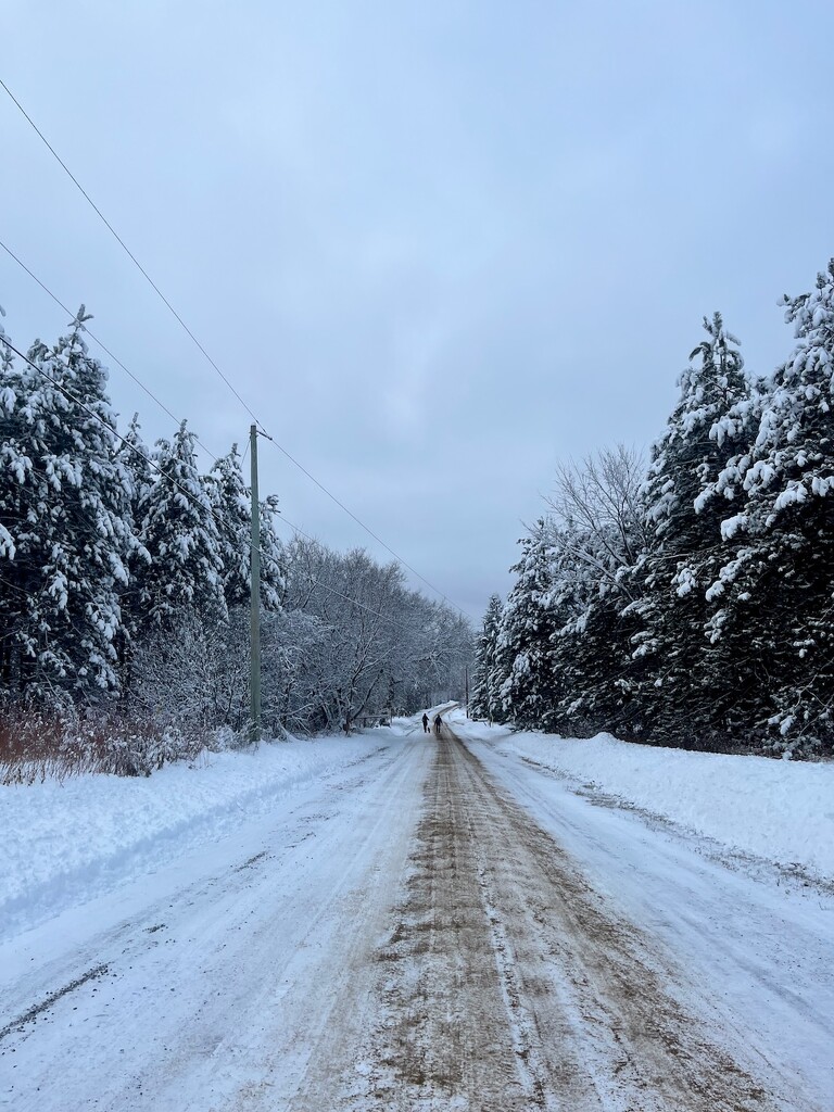 Sandy Road by sunnygreenwood