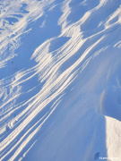 17th Jan 2024 - Wind ripples in the snow