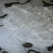 Ice In Office Parking Lot  by sfeldphotos