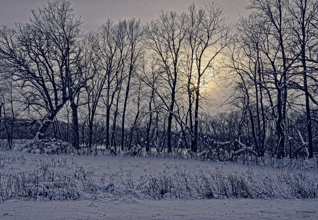 Weak Winter Sun by bluemoon