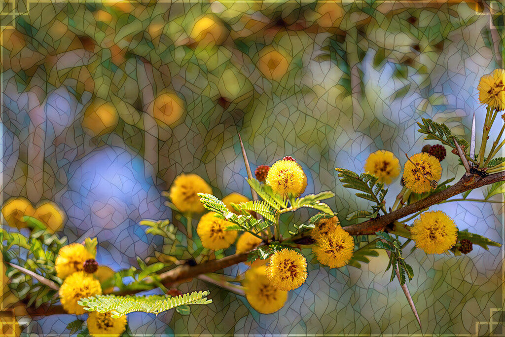 Masses of these little fluff balls by ludwigsdiana