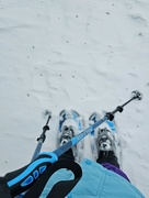 17th Jan 2024 - Snowshoes