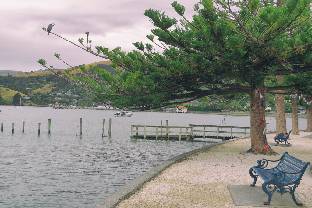 Akaroa waterfront  by kali66