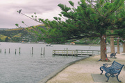 14th Jan 2024 - Akaroa waterfront 