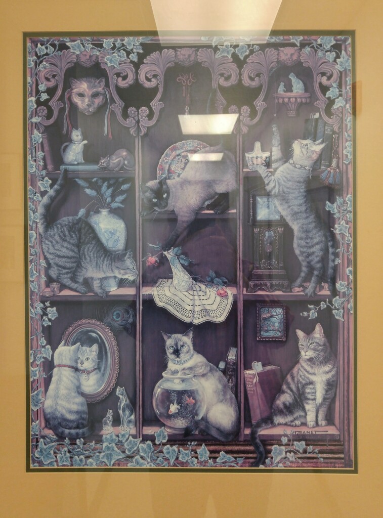 A frame full of kitty cats... by marlboromaam