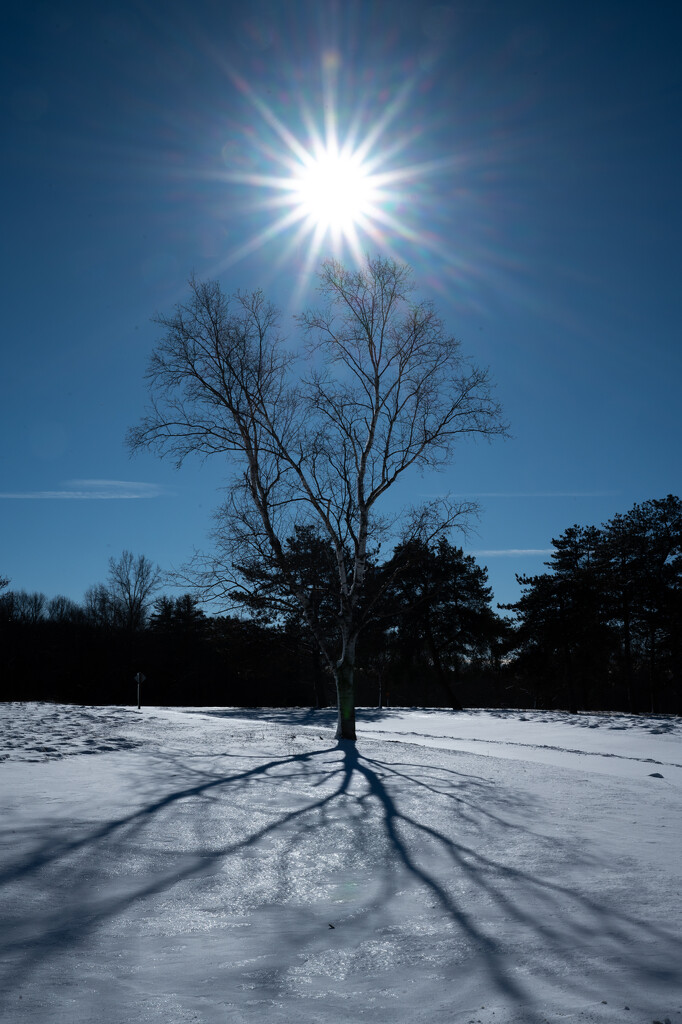 Michigan winter sun by jackies365
