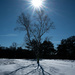 Michigan winter sun by jackies365