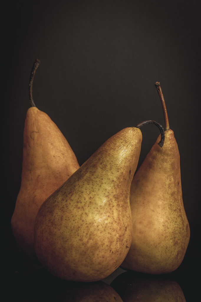 Pears by jackies365