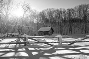 17th Jan 2024 - snow and shadows